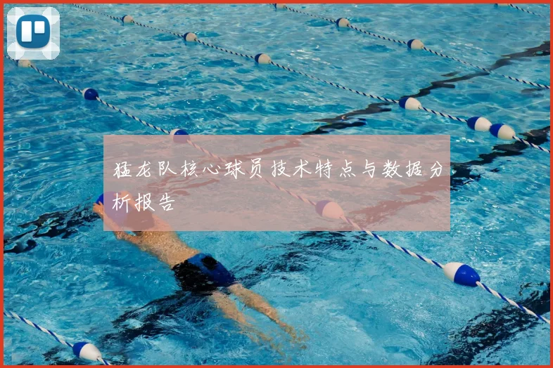 猛龙队核心球员技术特点与数据分析报告